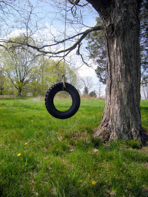 Single Rope Tire Swing