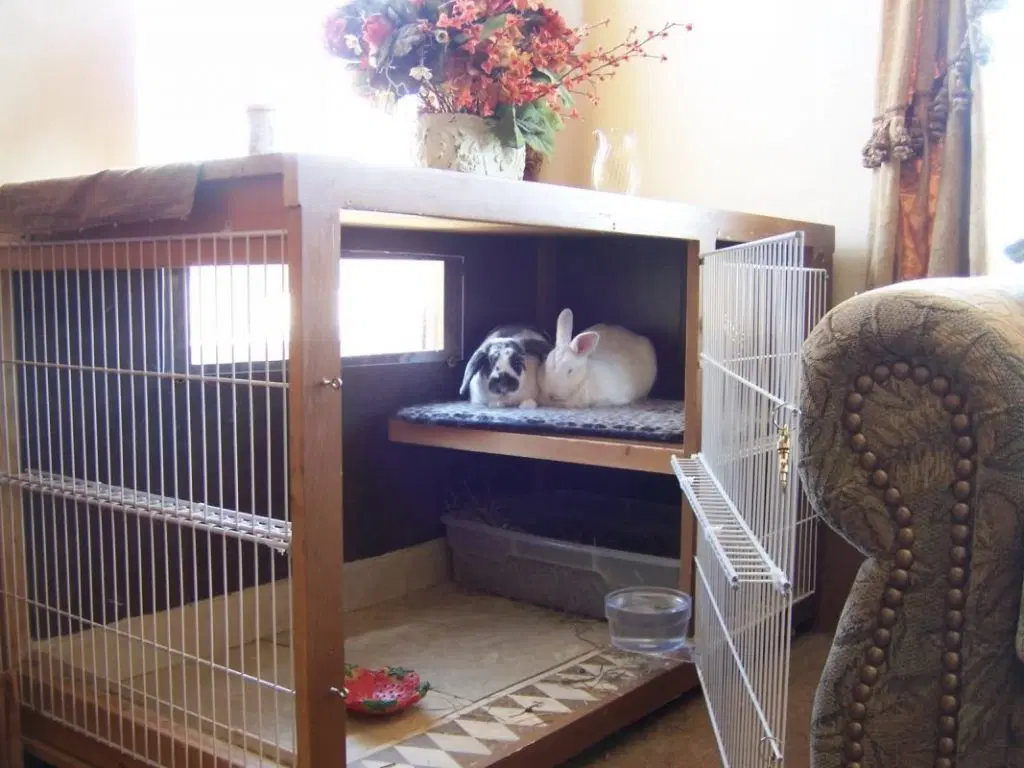 indoor bunny hutch