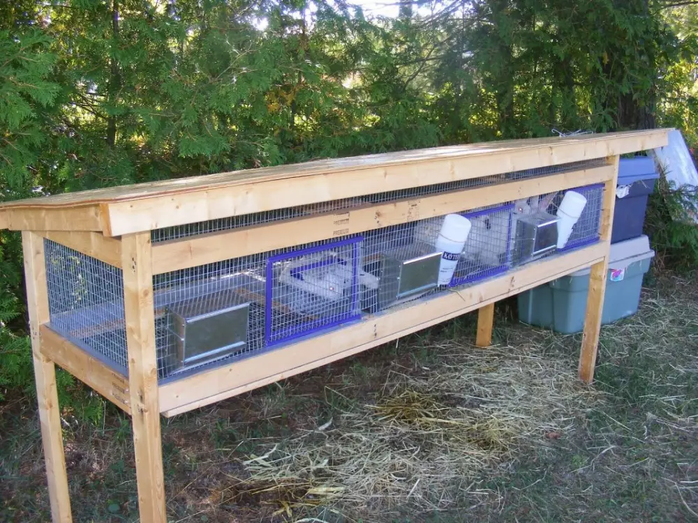 multi cages for rabbits