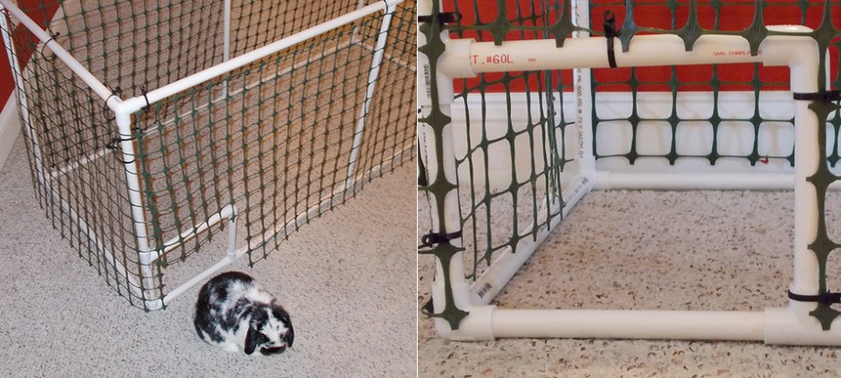 rabbit and a cage made with pvc